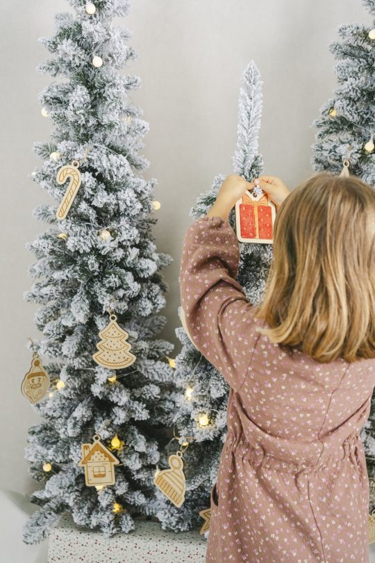 MYFRAME_JANELASONHOS_OUT-98